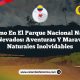 Turismo en el Parque Nacional Natural Los Nevados: Aventuras y Maravillas Naturales Inolvidables